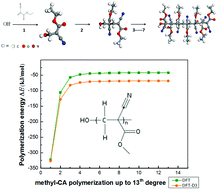 Graphical abstract: The role of local chemical hardness and van der Waals interactions in the anionic polymerization of alkyl cyanoacrylates