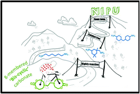 Graphical abstract: Room temperature synthesis of non-isocyanate polyurethanes (NIPUs) using highly reactive N-substituted 8-membered cyclic carbonates