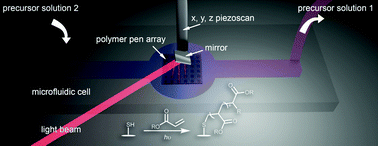 Graphical abstract: Optimization of 4D polymer printing within a massively parallel flow-through photochemical microreactor
