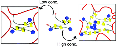 Graphical abstract: Synthesis and characterization of supramolecular cross-linkers containing cyclodextrin dimer and trimer