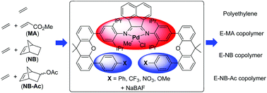 Graphical abstract: Influence of ligand second coordination sphere effects on the olefin (co)polymerization properties of α-diimine Pd(ii) catalysts