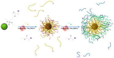 Graphical abstract: Surface-initiated SET living radical polymerisation for the synthesis of silica–polymer core–shell nanoparticles