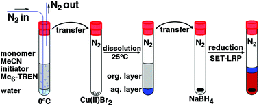 Graphical abstract: Ultrafast SET-LRP in biphasic mixtures of the non-disproportionating solvent acetonitrile with water