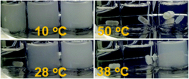 Graphical abstract: Poly(3-imidazolyl-2-hydroxypropyl methacrylate) – a new polymer with a tunable upper critical solution temperature in water