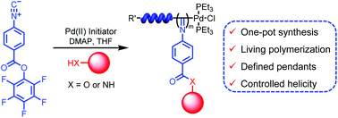 Graphical abstract: A facile synthetic route to stereoregular helical poly(phenyl isocyanide)s with defined pendants and controlled helicity