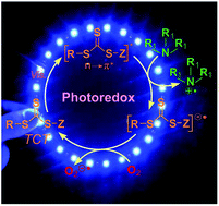 Graphical abstract: Trithiocarbonates as intrinsic photoredox catalysts and RAFT agents for oxygen tolerant controlled radical polymerization