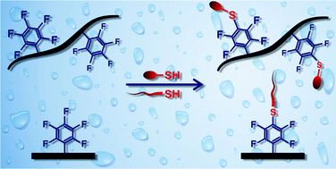 Graphical abstract: The para-fluoro-thiol ligation in water