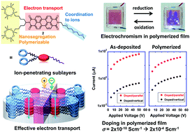 Graphical abstract: Anisotropic electrical conductivity of n-doped thin films of polymerizable liquid-crystalline perylene bisimide bearing a triethylene oxide chain and cyclotetrasiloxane rings
