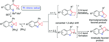 Graphical abstract: Mechanistic studies for dirhodium-catalyzed ring expansion reactions