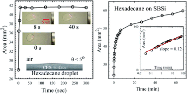 Graphical abstract: Superhydrophilicity and spontaneous spreading on zwitterionic surfaces: carboxybetaine and sulfobetaine