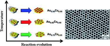 Graphical abstract: Au1−xCux colloidal nanoparticles synthesized via a one-pot approach: understanding the temperature effect on the Au : Cu ratio