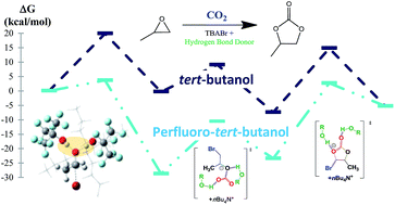 Graphical abstract: A comprehensive density functional theory study of the key role of fluorination and dual hydrogen bonding in the activation of the epoxide/CO2 coupling by fluorinated alcohols