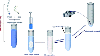 Graphical abstract: A novel supramolecular aggregated liquid–solid microextraction method for the preconcentration and determination of trace amounts of lead in saline solutions and food samples using electrothermal atomic absorption spectrometry