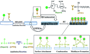 Graphical abstract: APTES assisted surface heparinization of polylactide porous membranes for improved hemocompatibility