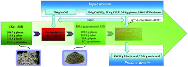 Graphical abstract: Efficient l-lactic acid production from sweet sorghum bagasse by open simultaneous saccharification and fermentation