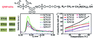 Graphical abstract: Multi-block copolymers with fluorene-containing hydrophilic segments densely functionalized by side-chain quaternary ammonium groups as anion exchange membranes