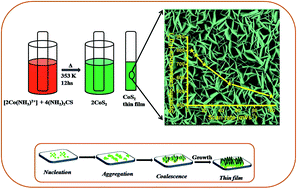 Graphical abstract: Bath temperature controlled phase stability of hierarchical nanoflakes CoS2 thin films for supercapacitor application
