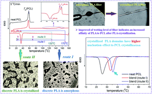 Graphical abstract: Crystallization of poly(ε-caprolactone) in its immiscible blend with polylactide: insight into the role of annealing histories