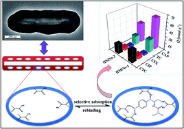 Graphical abstract: Hollow imprinted polymer nanorods with a tunable shell using halloysite nanotubes as a sacrificial template for selective recognition and separation of chloramphenicol