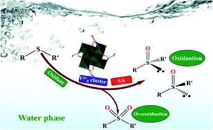 Graphical abstract: Asymmetric catalytic sulfoxidation by a novel VIV8 cluster catalyst in the presence of serum albumin: a simple and green oxidation system