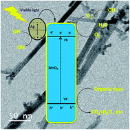 Graphical abstract: Constructing novel Ag nanoparticles anchored on MnO2 nanowires as an efficient visible light driven photocatalyst