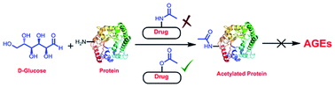 Graphical abstract: Molecules with O-acetyl group protect protein glycation by acetylating lysine residues