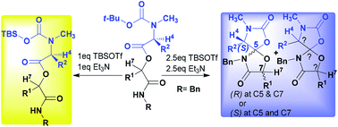 Graphical abstract: Double cyclization of O-acylated hydroxyamides generates 1,6-dioxa-3,9-diazaspiro[4.4]nonanes a new class of oxy-oxazolidinones