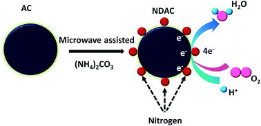 Graphical abstract: Microwave-assisted synthesis of nitrogen-doped activated carbon as an oxygen reduction catalyst in microbial fuel cells