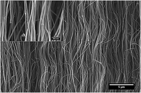 Graphical abstract: Effect of electric field on creep and stress-relaxation behavior of carbon nanotube forests
