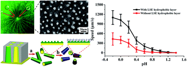 Graphical abstract: Accelerated microrockets with a biomimetic hydrophobic surface
