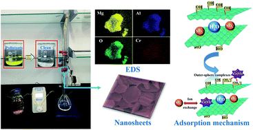 Graphical abstract: Adsorption and intercalation of organic pollutants and heavy metal ions into MgAl-LDHs nanosheets with high capacity