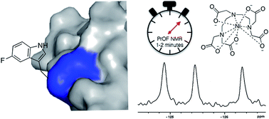 Graphical abstract: Paramagnetic relaxation enhancement for protein-observed 19F NMR as an enabling approach for efficient fragment screening
