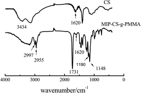 Graphical abstract: Preparation and characterization of temperature-memory nanoparticles of MIP-CS-g-PMMA