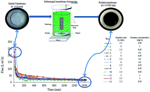 Graphical abstract: Application of response surface methodology for investigation of membrane fouling behaviours in microalgal membrane bioreactor: the effect of aeration rate and biomass concentration
