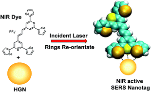 Graphical abstract: Elucidation of the bonding of a near infrared dye to hollow gold nanospheres – a chalcogen tripod