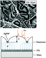 Graphical abstract: Electrically-tunable surface deformation of a soft elastomer