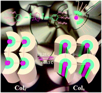 Graphical abstract: Generation of liquid crystallinity from a Td-symmetry central unit