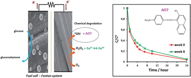 Graphical abstract: Design of a novel fuel cell-Fenton system: a smart approach to zero energy depollution