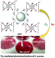 Graphical abstract: A photobleaching resistant polymer supported hexanuclear molybdenum iodide cluster for photocatalytic oxygenations and photodynamic inactivation of Staphylococcus aureus