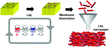 Graphical abstract: Nanopapers of layer-by-layer nanotubes