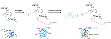 Graphical abstract: Synthesis and functionalization of dextran-based single-chain nanoparticles in aqueous media