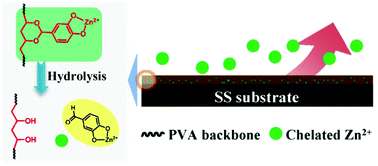 Graphical abstract: Robust mussel-inspired coatings for controlled zinc ion release