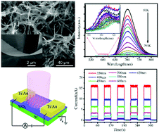 Graphical abstract: One-step synthesis of p-type GaSe nanoribbons and their excellent performance in photodetectors and phototransistors