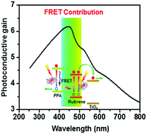 Graphical abstract: Enhanced light harvesting through Förster resonance energy transfer in polymer–small molecule ternary system