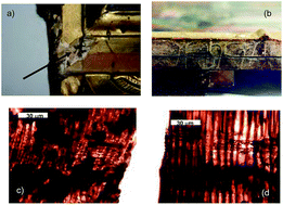 Graphical abstract: Identification of vegetal species in wooden objects using in situ microextraction-assisted voltammetry of microparticles