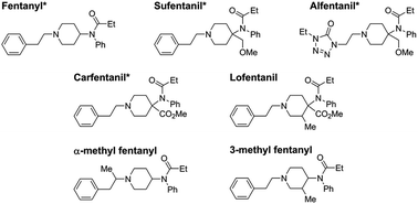 Graphical abstract: Quantitation of fentanyl analogs in dried blood spots by flow-through desorption coupled to online solid phase extraction tandem mass spectrometry