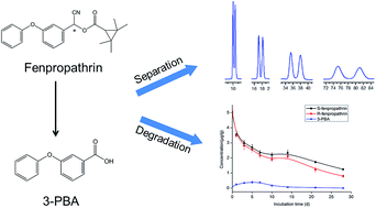 Graphical abstract: Chiral pyrethroid insecticide fenpropathrin and its metabolite: enantiomeric separation and pharmacokinetic degradation in soils by reverse-phase high-performance liquid chromatography