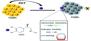 Graphical abstract: A label-free fluorescence nanosensor for the determination of adrenaline based on graphene quantum dots