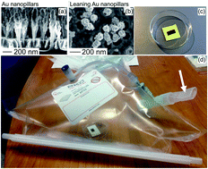 Graphical abstract: SERS spectroscopy for detection of hydrogen cyanide in breath from children colonised with P. aeruginosa
