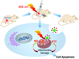 Graphical abstract: Ruthenium nitrosyl functionalized graphene quantum dots as an efficient nanoplatform for NIR-light-controlled and mitochondria-targeted delivery of nitric oxide combined with photothermal therapy